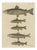 Bertuch, Five Trout with Salmon Trout and Alpine Char, 1805, Print For Sale