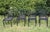 Contemporary 1990s Pinecrest Woodard Style Patio Garden Dining Set, 9 Pieces For Sale - Image 3 of 8