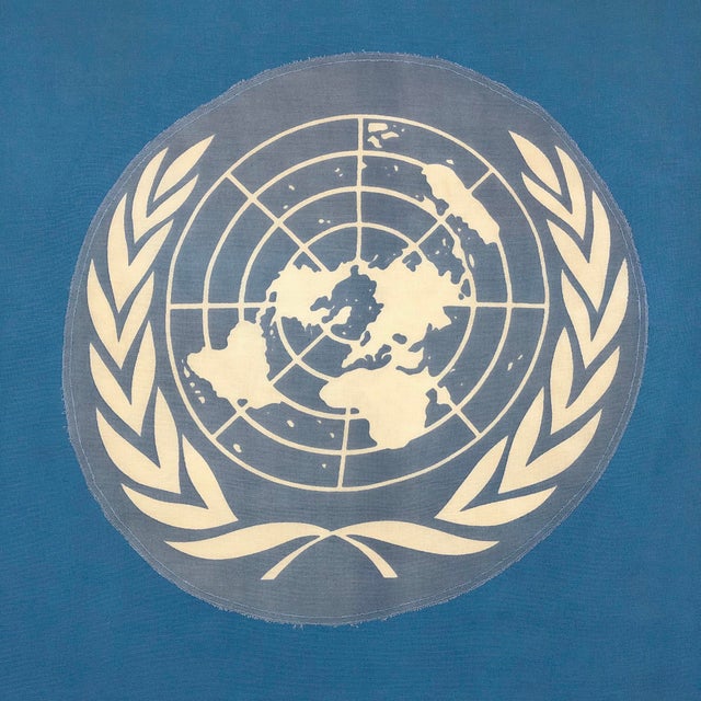 Rustic Vintage Cotton Flag of the United Nations For Sale - Image 3 of 4