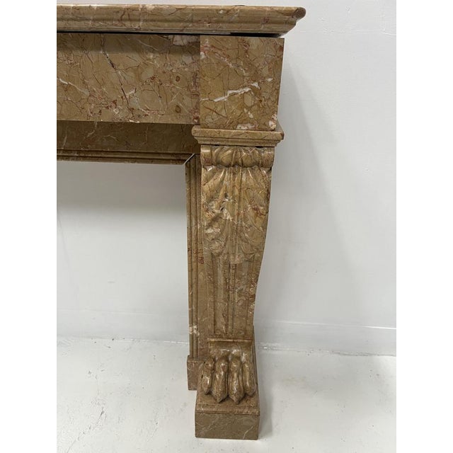 Napoleon III Fireplace with Claw Feet in Speckled Marble, 1800s For Sale - Image 15 of 18