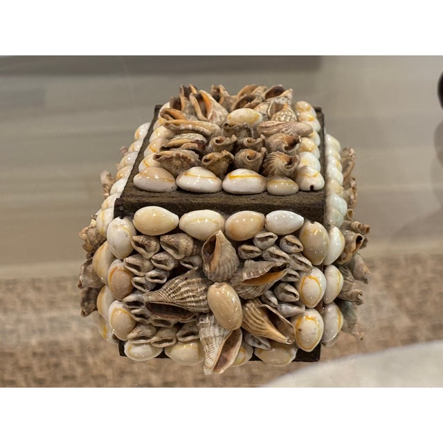 Late 20th Century Vintage Palm Beach Style Rectangular Encrusted Shell Box in Neutral Palette For Sale - Image 5 of 18