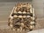 Late 20th Century Vintage Palm Beach Style Rectangular Encrusted Shell Box in Neutral Palette For Sale - Image 5 of 18