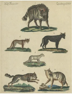 Bertuch, Wild Canines and Hyenas, 1800, Handcolored Engraving