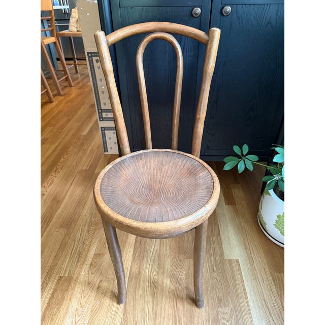 Rustic European Set of Six Early 20th Century Mazowia Bentwood Café Dining Chairs For Sale - Image 3 of 8
