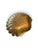 Large Brass Clamshell Trinket Dish For Sale - Image 4 of 4