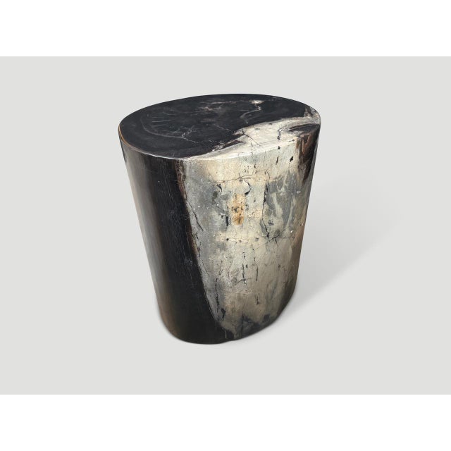Contemporary Andrianna Shamaris Impressive Ancient Petrified Wood Side Table For Sale - Image 3 of 6