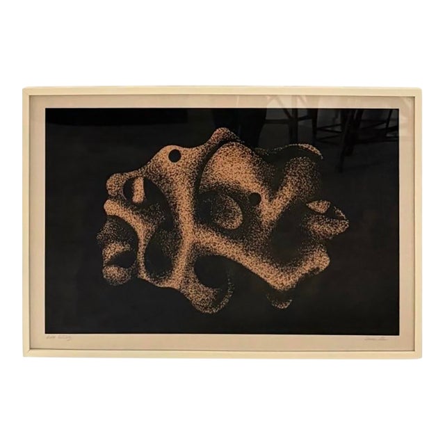 Irene Miller Stein Signed Framed Abstract Black White Serigraph Earth Fertility For Sale