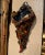 Add a touch of French country charm to a kitchen, dining room, or entryway with this colorful antique barbotine cornucopia...