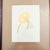 1970s Tiger Lily Original Signed Serigraph For Sale - Image 4 of 11