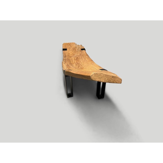 Andrianna Shamaris Impressive Teak Wood and Metal Chaise or Bench For Sale In New York - Image 6 of 18