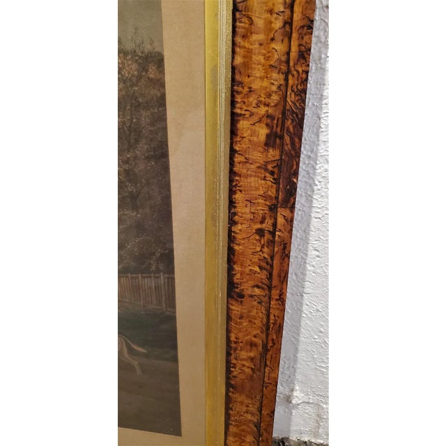 Late 19th Century 19th Century, Eas Douglas Hunt Scene Aquatint Engraving For Sale - Image 5 of 13