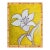 Original Framed Flower Painting, White Yellow Botanical Wall Art, Oil Sticks on Canvas in Bamboo Frame, 11x14 Minimalist Boho Home Decor For Sale