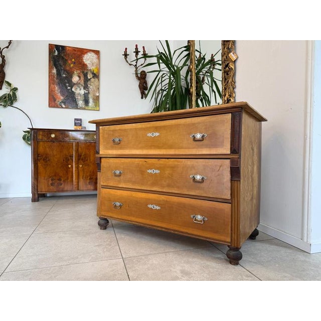Wood Gründerzeit Chest of Drawers in Walnut For Sale - Image 7 of 15