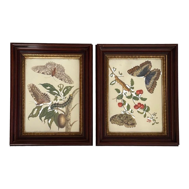 Vintage Butterfly & Botanical Study Prints, Set of 2, Classical Natural History Style Reproduction For Sale