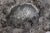 Metal Paul Evans Freeform Cast Aluminum "Crater" Dish, circa 1960 For Sale - Image 7 of 10