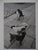 Henri Cartier-Bresson, Dogs, Photolithograph For Sale - Image 7 of 8