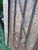 Antique Victorian Iron Gate or Garden Fence Element For Sale - Image 4 of 7