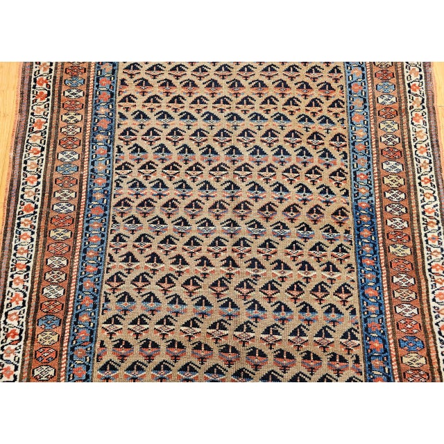Vintage Persian Kurdish Bidjar Gallery Rug, Hand-Knotted Wool, Allover Paisley Design, Camelhair & Blue, 5x12 For Sale - Image 10 of 16