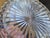 Metal Art Deco Ashtray in Cut Crystal with Silver Mount and Cigar Rest by Wilhelm T. Binder, 1930s For Sale - Image 7 of 12