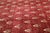 Textile 8x10 Hand-Knotted Afghan Wool "Shooting Star" Transitional Rug in Red & Gold For Sale - Image 7 of 8