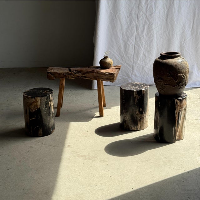 Side Table in Black Petrified Wood with Beige Sides, 1980s For Sale - Image 10 of 18