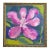 Original Pink Magnolia Painting in Ornate Gold Beaded Frame, Oil Sticks on Canvas, 12" X 12" by Tatiana Duperault For Sale