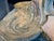 Italian Art Nouveau Glazed Ceramic Centerpiece, 1900 For Sale - Image 14 of 18