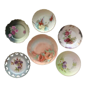 Vintage German Porcelain Floral Design Hand Painted Wall Plates S/6