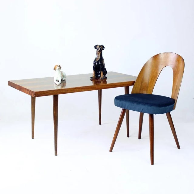 Long Coffee Table in Walnut from Mier, Czechoslovakia, 1965 For Sale - Image 11 of 12