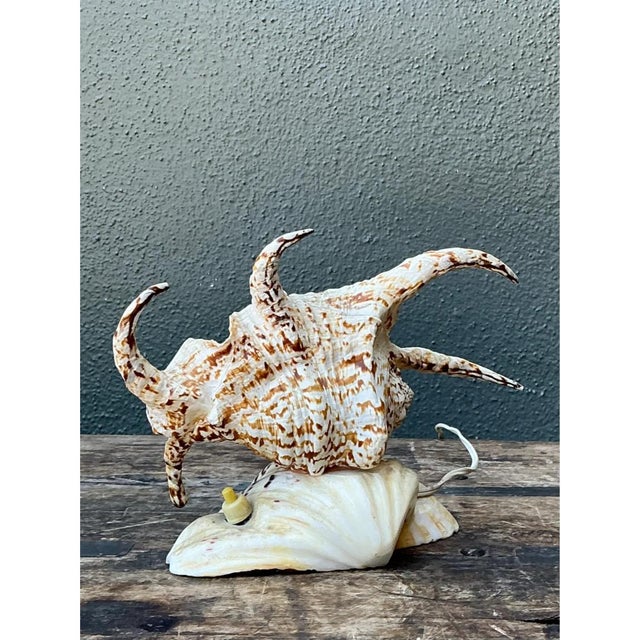 Shell Vintage Spiked Shell Vanity Lamp For Sale - Image 7 of 12