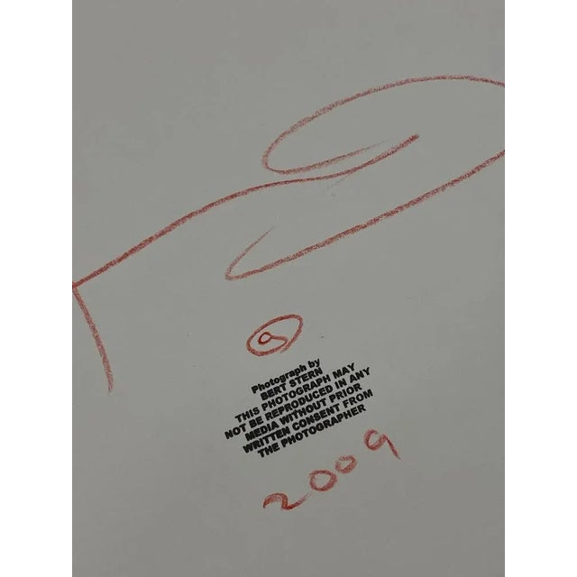 Bert Stern, The Last Sitting, 2009, Photograph For Sale - Image 12 of 13