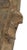 Early 20th Century Songye Shield with Kifwebe Mask Icon For Sale - Image 4 of 5