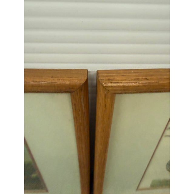 Paper Jan Christian Sepp Merganser Duck Engraving Reproductions, Pair For Sale - Image 7 of 9