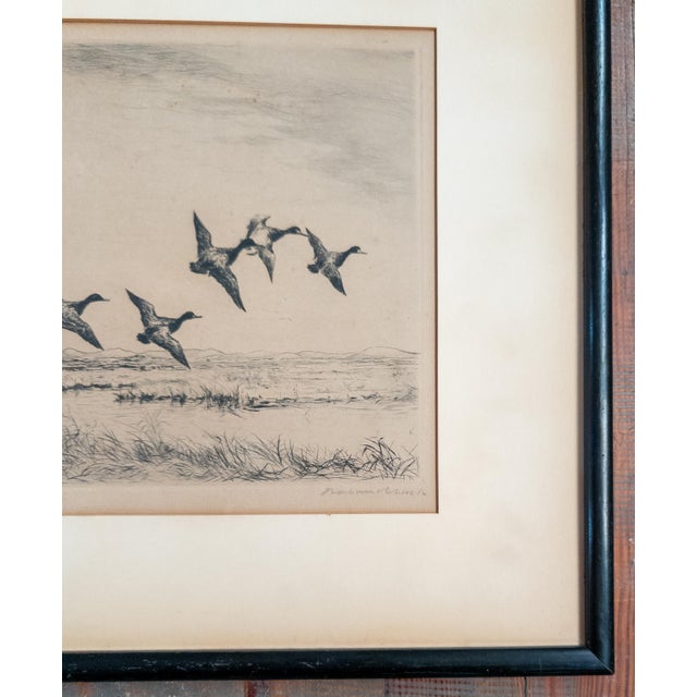 Early 20th Century Drypoint Etching Print of "Little Blue Bills" by Roland Clark For Sale In New York - Image 6 of 13