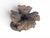 Antique Black Forest Carved Wooden Hunting Candlesticks, 1880, Set of 2 For Sale - Image 10 of 13