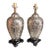Vintage Silvered Glass Botanical Table Lamps on Chinoiserie Bases - a Pair For Sale