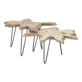 Essentials for Living Outdoor Furniture Drift Nesting Coffee Table, 2 Pieces, Attributed For Sale