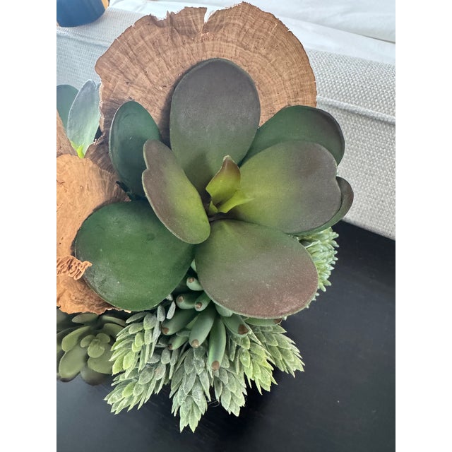 Modern Organic Faux Succulent Arrangement in White Ceramic Pedestal Vessel For Sale - Image 3 of 6