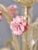 Glass Venetian Five-Arm Murano Glass Chandelier For Sale - Image 7 of 12