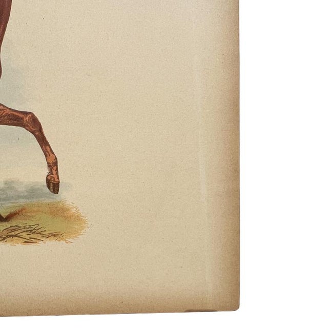 Antique Lithograph “George Frederick” With Lineage Chart, 19th Century For Sale In Oklahoma City - Image 6 of 9