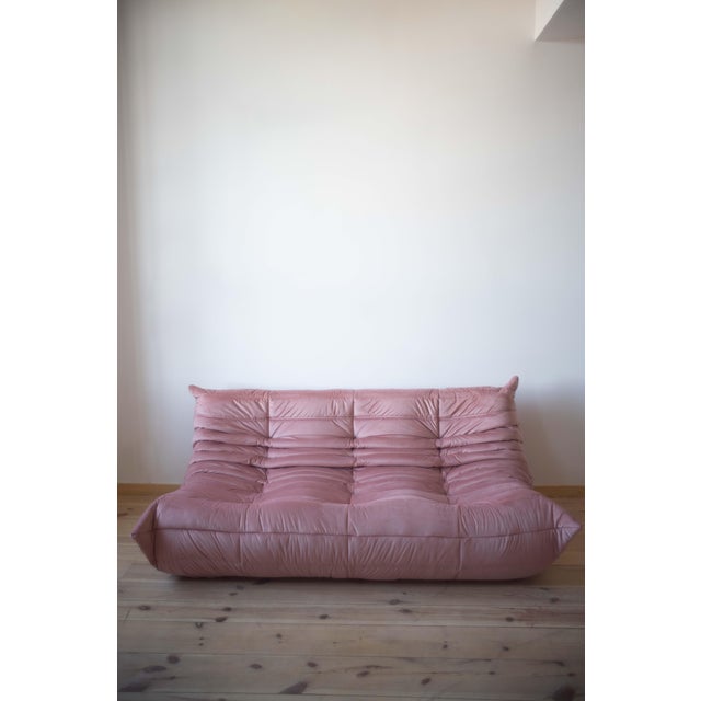 Pink Pearl Velvet Togo 3-Seat Sofa by Michel Ducaroy for Ligne Roset For Sale - Image 11 of 11