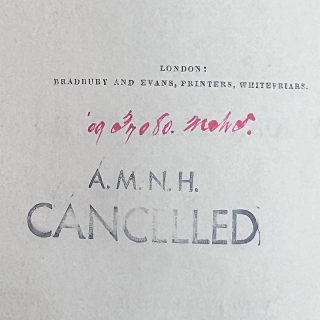 Mid 19th Century 19th Century Book: Solitary Rambles and Adventures of a Hunter by John Palliser For Sale - Image 5 of 12