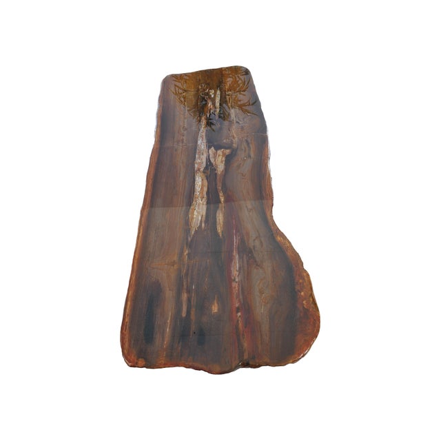 Contemporary Epoxy Coated Petrified Wood Coffee Table by Xyleia Petrified Wood For Sale - Image 3 of 7