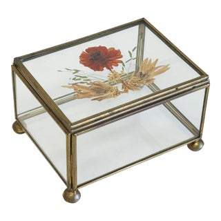Vintage Pressed Flower Glass and Brass Lidded Display Box For Sale