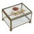 Vintage Pressed Flower Glass and Brass Lidded Display Box For Sale