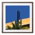 “Miami Beach 04” Giclee Archival Pigment Print 24x24 Framed in Walnut For Sale