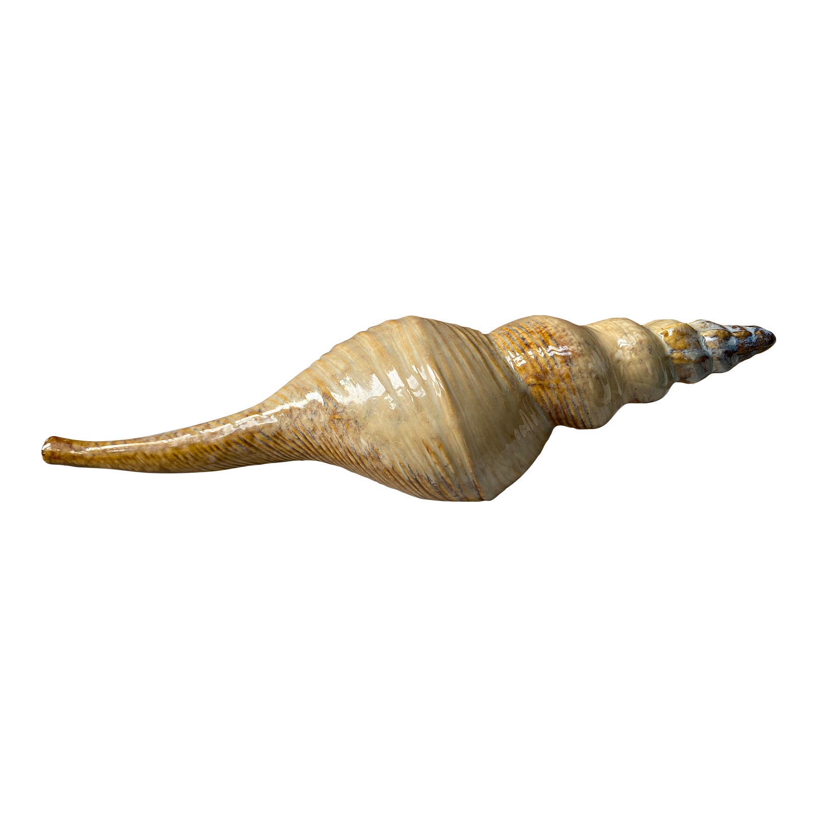 Ceramic Drip Glaze Conch Sea Shell Pottery | Chairish