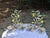 Vintage Majolica Topiary For Sale In Lexington, KY - Image 6 of 6