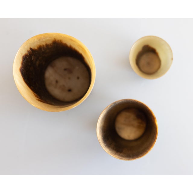 Antique 19th Century English Horn Stirrup Cups - Set of 3 For Sale In Houston - Image 6 of 8