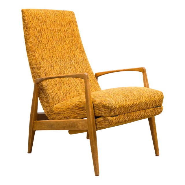 Vintage Relaxing Chair, 1950s For Sale